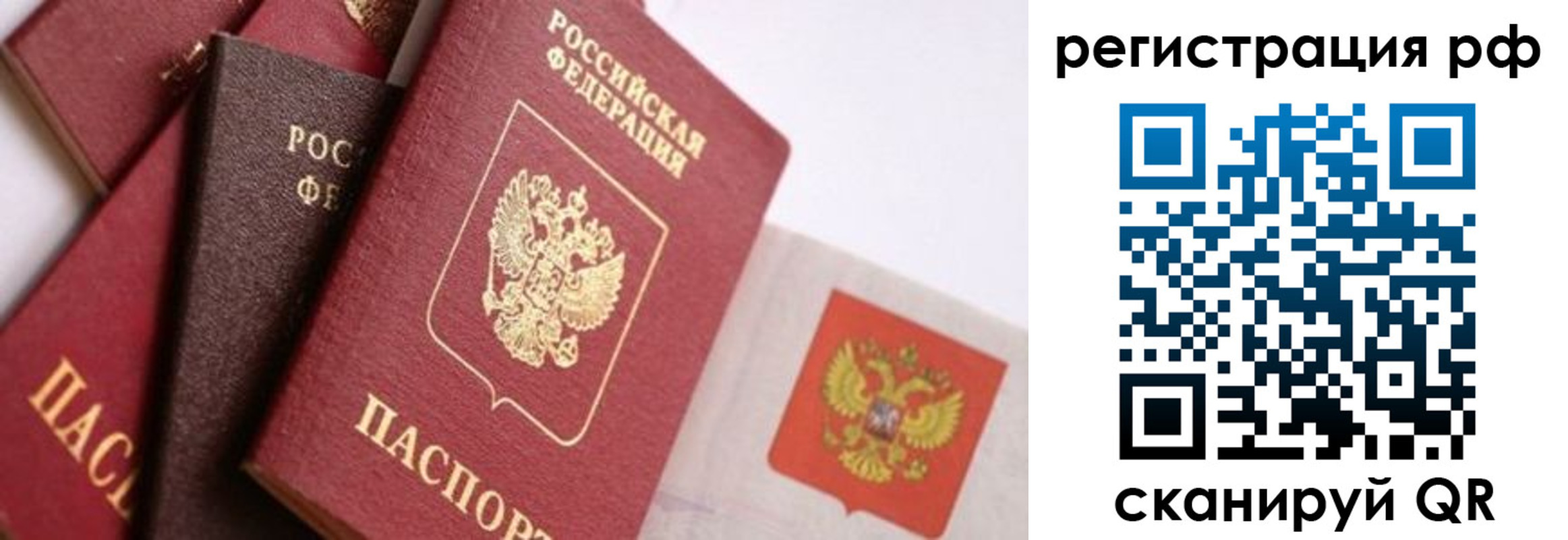 временная регистрация купить в Ельне